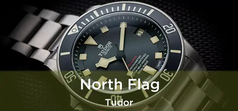  North Flag Tudor